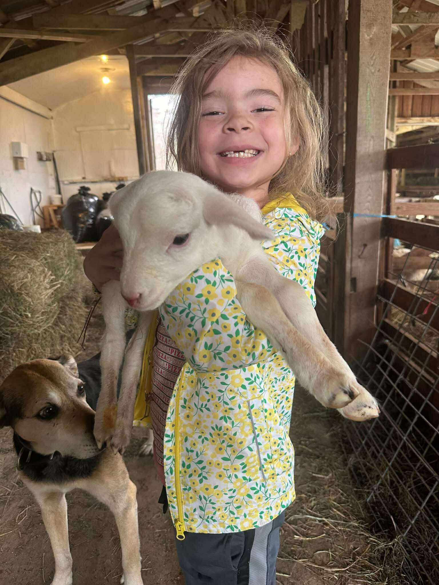Smiling child wearing a colorful floral jacket holds a white lamb in a barn, with a dog standing nearby. The scene captures a joyful moment on a farm, highlighting the bond between children and animals.