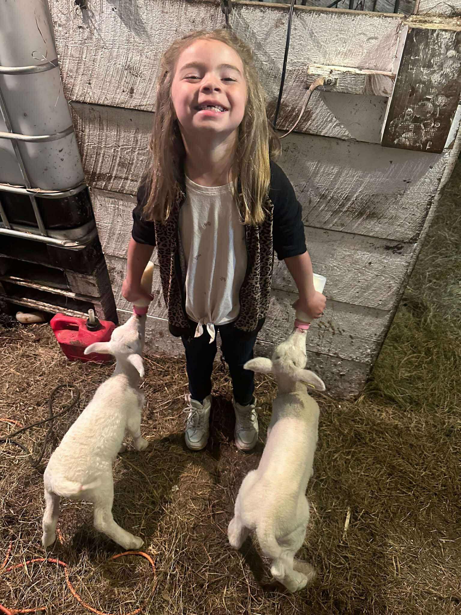 Young girl feeding two adorable lambs in a barn setting, smiling with joy while holding bottles. The rustic background features hay and wooden walls, highlighting a farm experience.