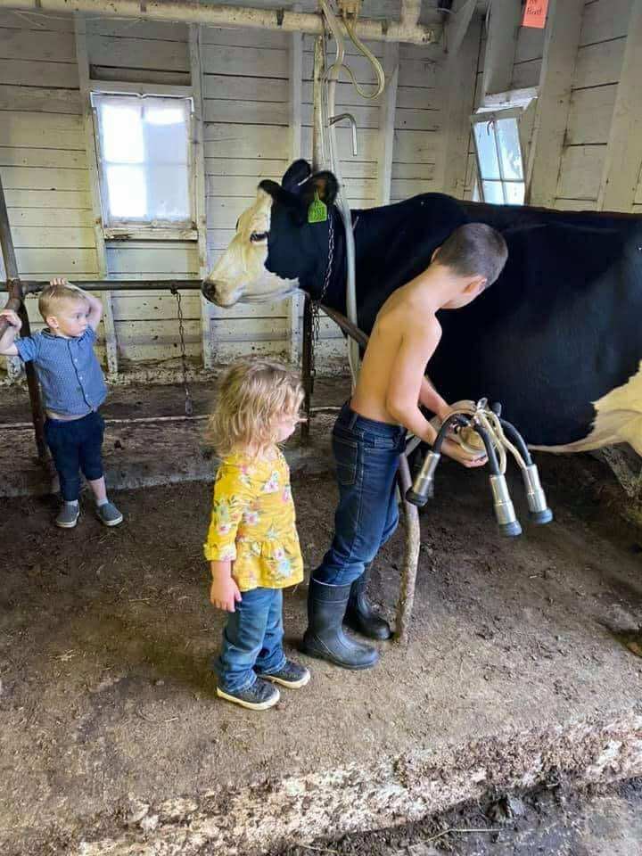 Children learning about dairy farming while milking a cow in a barn, showcasing hands-on agricultural education and farm life.