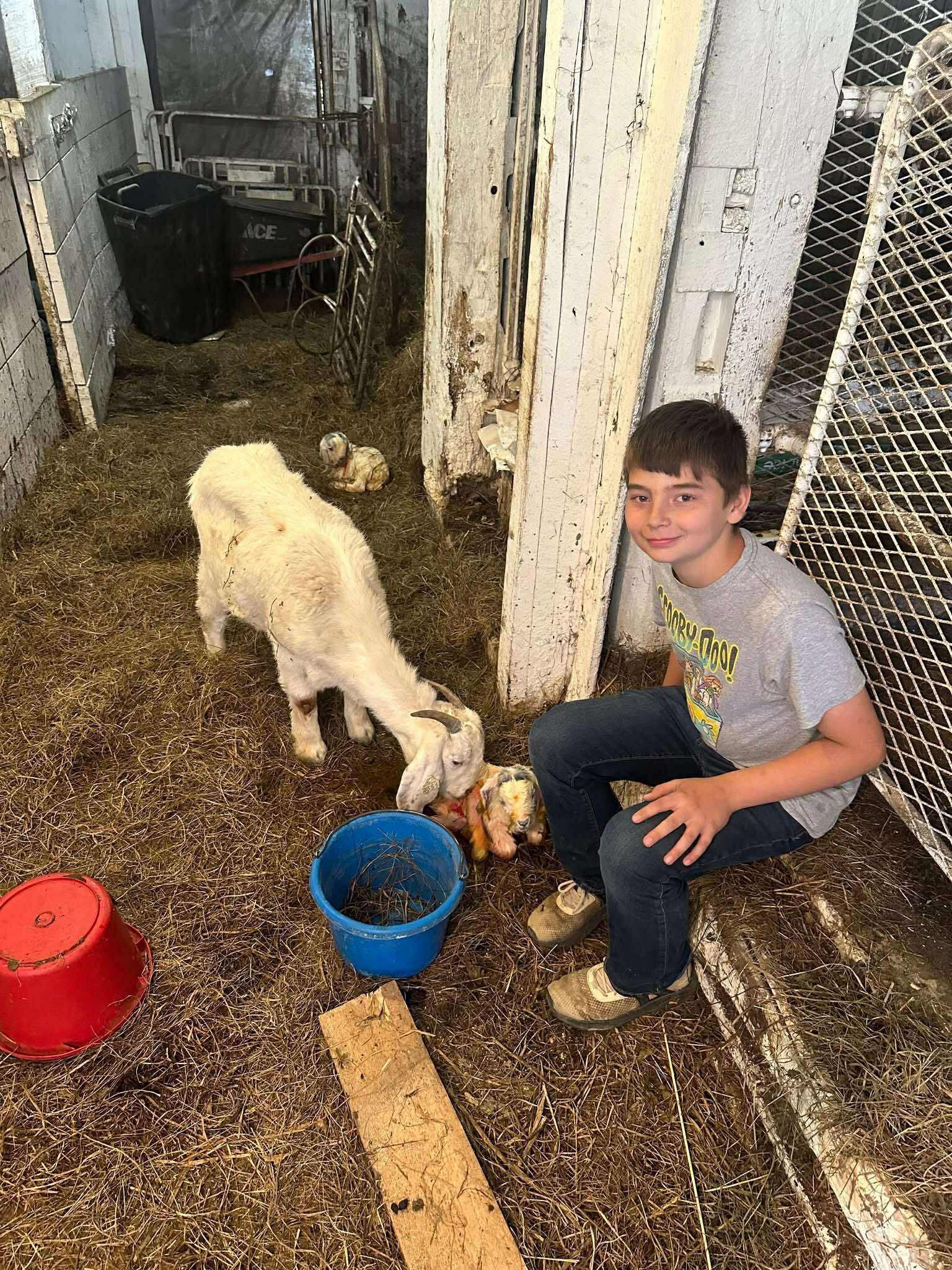 A young boy sitting on the floor of a barn, interacting with a white goat and two small animals near a blue bucket. The barn is filled with straw and has a rustic, farm-like atmosphere.